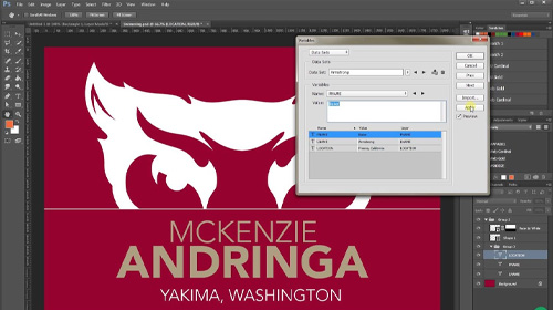 Generate Images From Data Sets in Photoshop